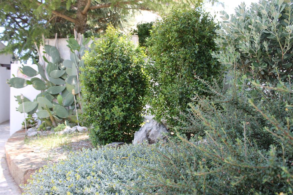 Albachiara Bed & Breakfast Monopoli Luaran gambar