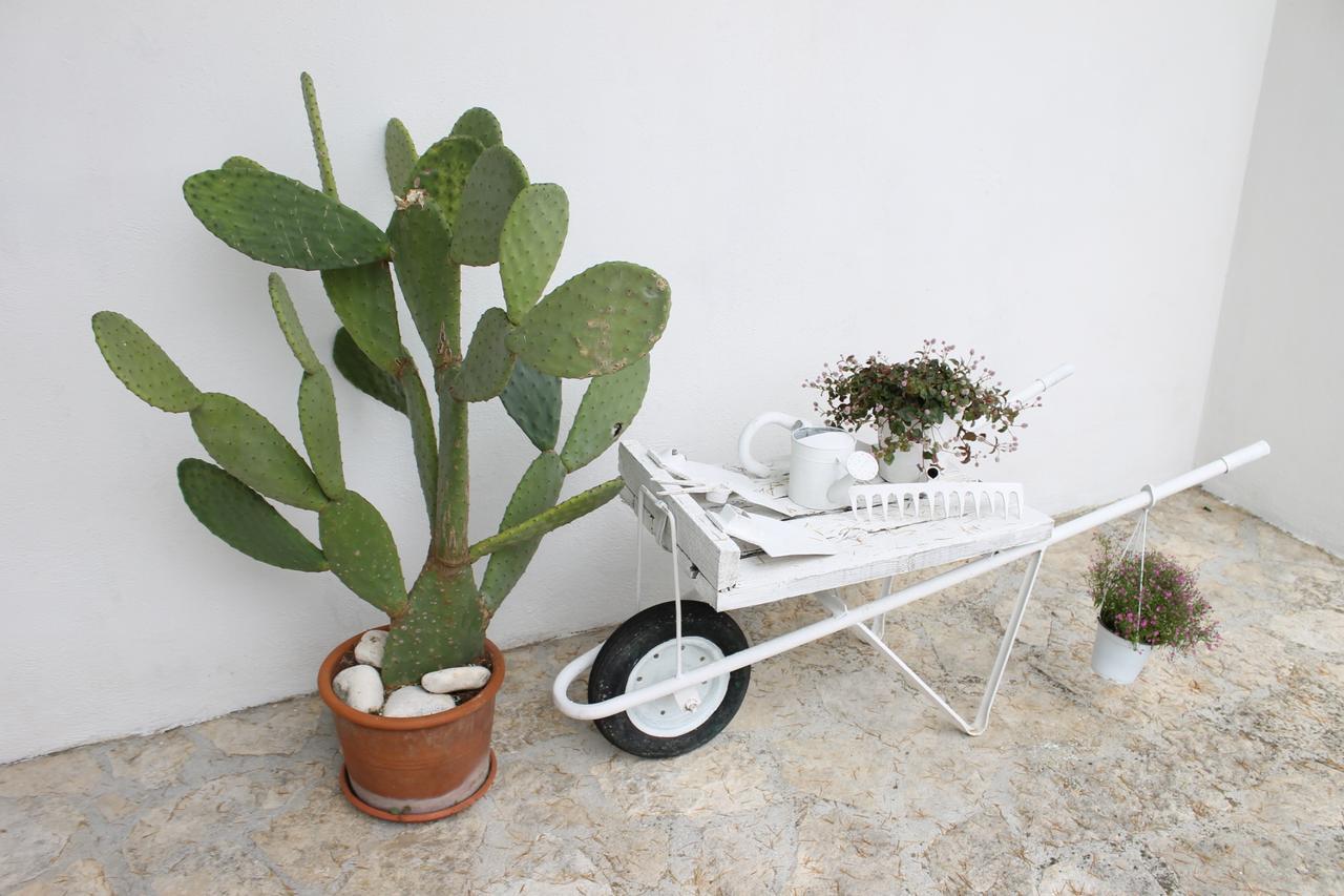 Albachiara Bed & Breakfast Monopoli Luaran gambar
